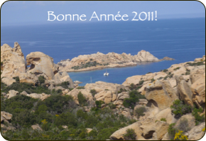 Ann�e 2011